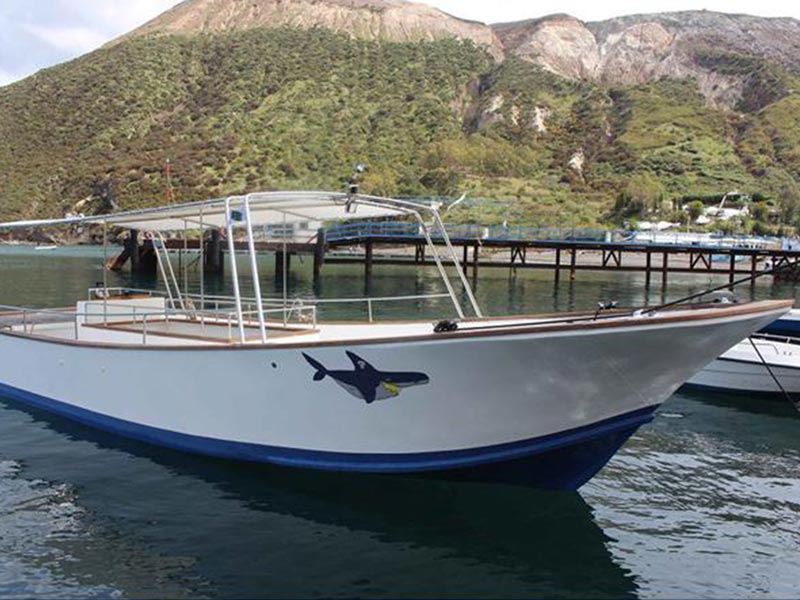 tour escursioni vulcano